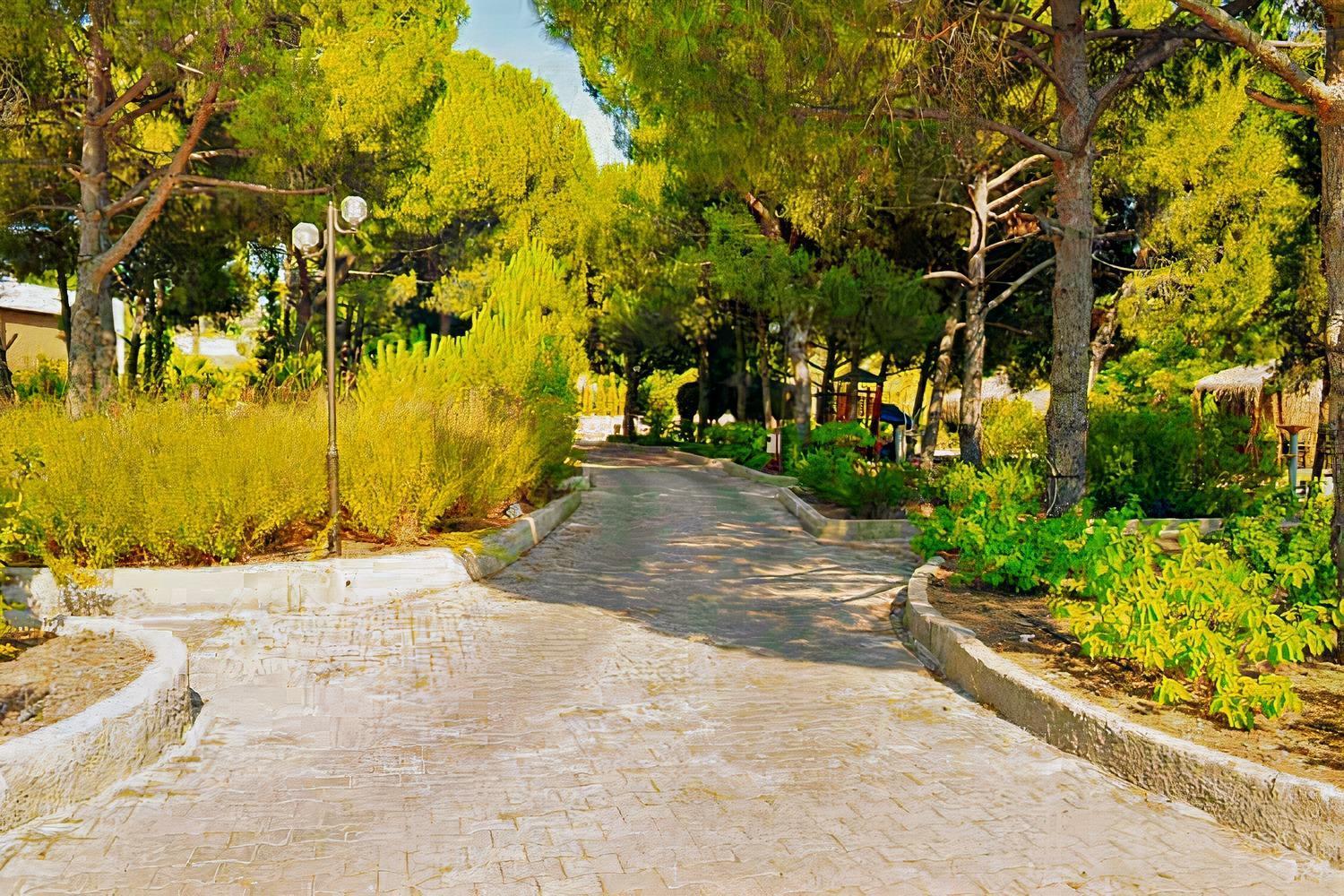 Elitium Thermal Hotel Bozkoy  외부 사진